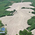 12435414_41n.jpg