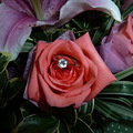 3IGI`){40}@UU5BUTGVW}}7.jpg