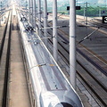 00105cc5393d0e0c68fb24.jpg