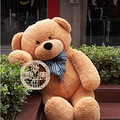 TD~81OMI{}ZN(%B@J]CJELD.jpg