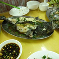 RSLRQ2RW}W1I94MHKK0[7(Y.jpg