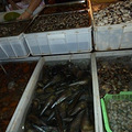6@K1[T4CB2MY(~Q9B7V}3}L.jpg