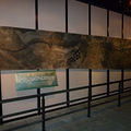 P1020064.JPG