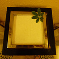 P1020139.JPG