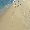 P1020201.JPG