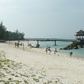 P1020432.JPG