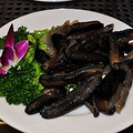 197_53546_e5f48a23c519622.jpg