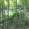 4931403_b.jpg