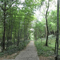 4931394_b.jpg