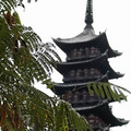 2007011507230050.jpg