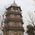 6915776_b.jpg