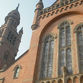 5579901_b.jpg