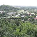 4931489_b.jpg