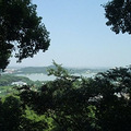 6500188_b.jpg