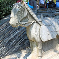 4881221_b.jpg