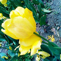 1302237441975.jpg