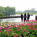 2011031910111943.JPG
