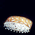 1307885947105.jpg