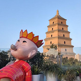 ��������������