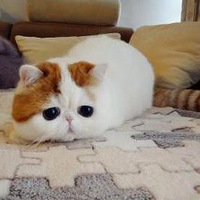 ľкϡѽ~