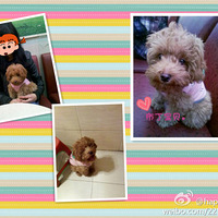 лӴǹսʤϸС֮Ҹ