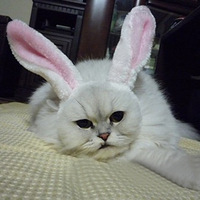 Ұññ~~~~~~