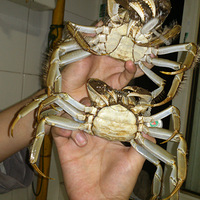 ϵ¸Сз~~ʺ˳з~~~
