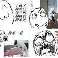 ڹ~~~,~~~~~~(ת)