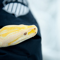 ȵĻƽ~