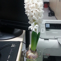 ɹɹķӣǶƯ