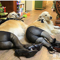 жֶ࣬ǡЩ