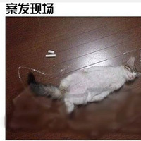 è䶯ܻӭһӰ
