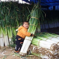 ��ȷ���㿴��ɽ����У�