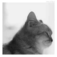 СƷ  yaya