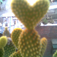ơҪһ˰ɣ