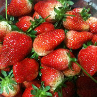Strawberry jam at springŮʮƲݮ