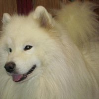 ҼҶүҶॸ˵ˣ˰ֻί˵