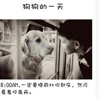 һ죬㿴˻ж͸Щѹڼѡ