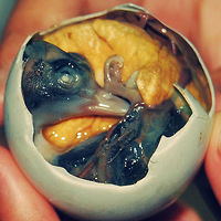 �ؿ�ζ���С�ԣ���ͼ�����룡��