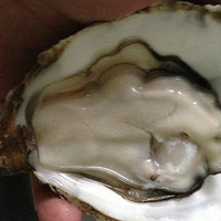  ���~���~֥ʿ�h���~~~~