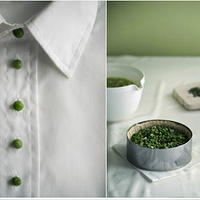 ��ʳ�������Լ�ᣬ���׵����ܣ��������