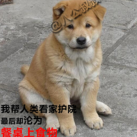 ҲȮѣ