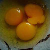 �����ϵľ���Ƭ