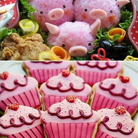 ���Ŷ����ĵĸ��ִ�����ʳ���͸��Ի��ǡ���