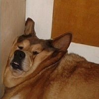 ȸЦСɰ