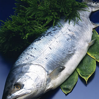 ��������ö���˵��������㣬�����ڹ�ॸ�ѡ��