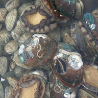 �Լ�Ժ�Ӻ����տ�������ȱ����Ӵ�Ϻ�������~~~~~