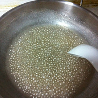 ����â����������¶