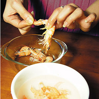 ������Ϻɳ����ϸ����