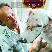 תС˿20൶ ̫سԲ·